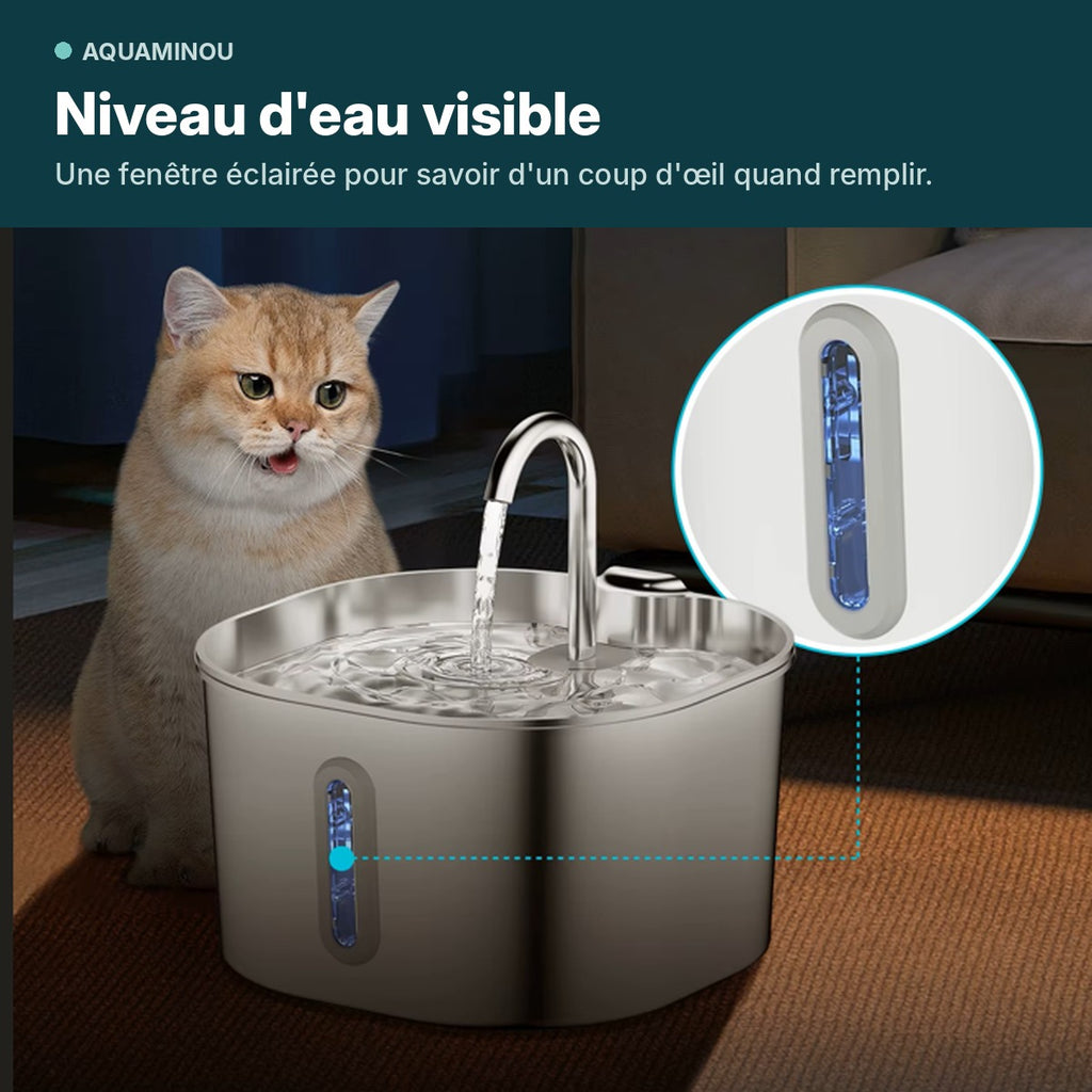 Fenêtre éclairée de niveau d'eau de la fontaine pour chat