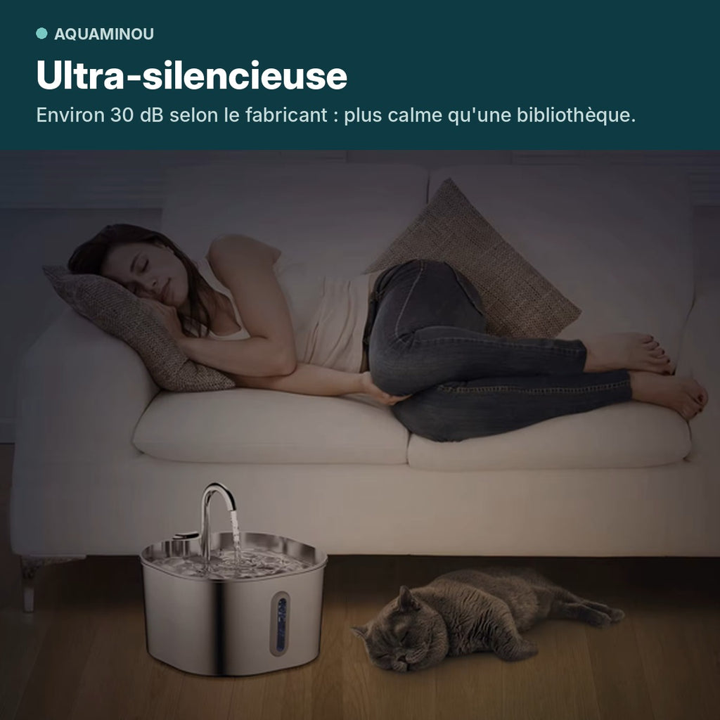Fontaine pour chat silencieuse dans un salon