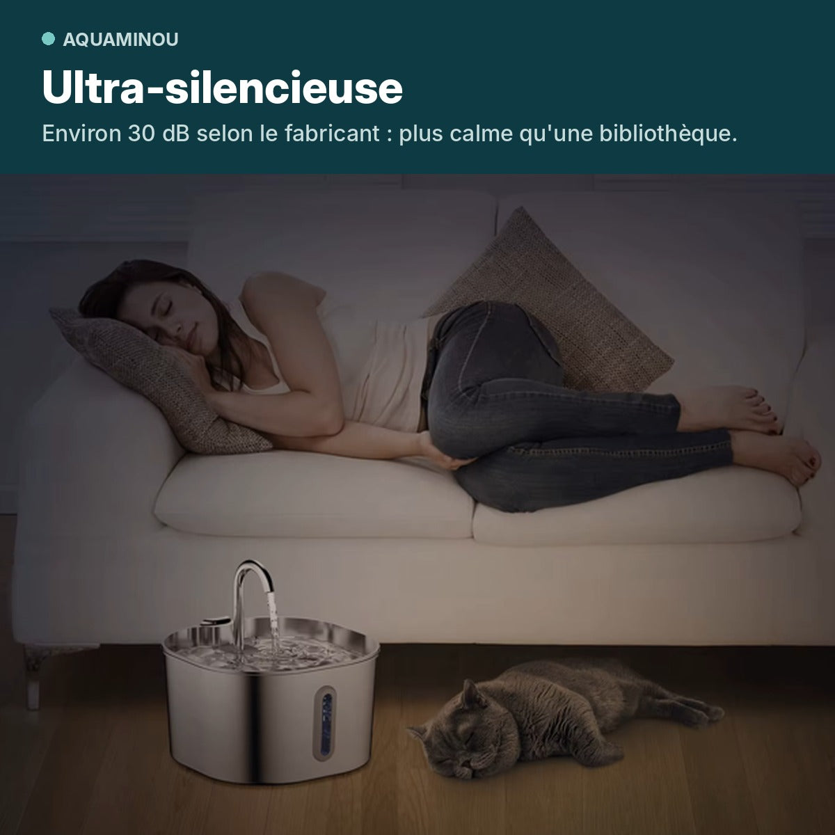 Fontaine pour chat silencieuse dans un salon