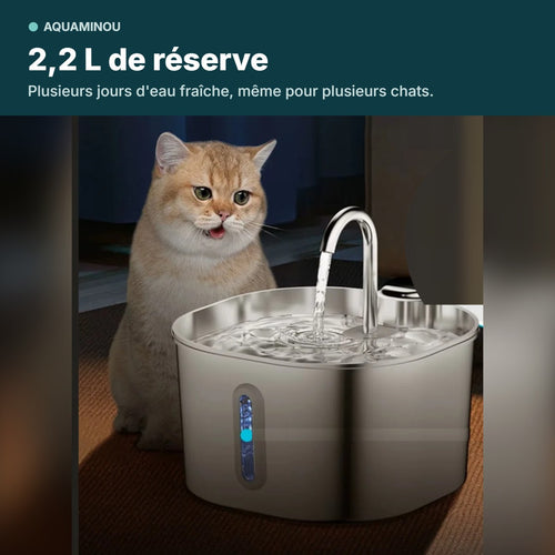 Fontaine à eau pour chat en inox 2,2 L avec un chat