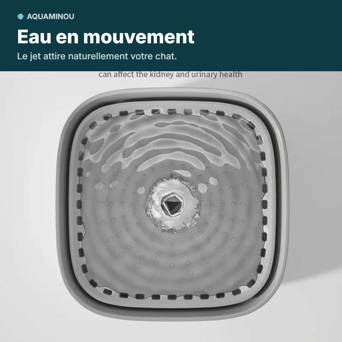 Eau en mouvement de la fontaine Cube