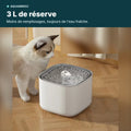 Fontaine Cube 3 L avec un chat