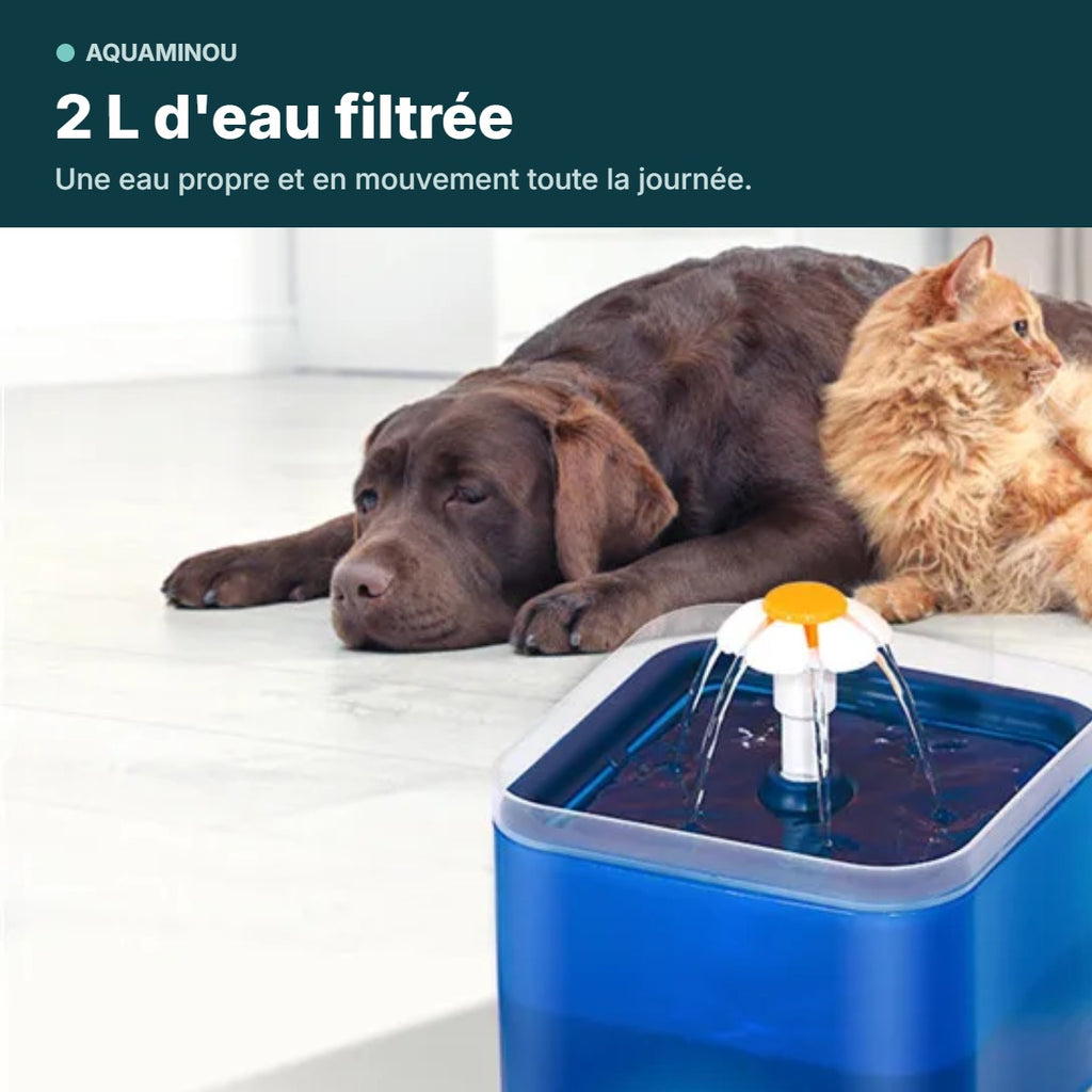 2 L d'eau filtrée