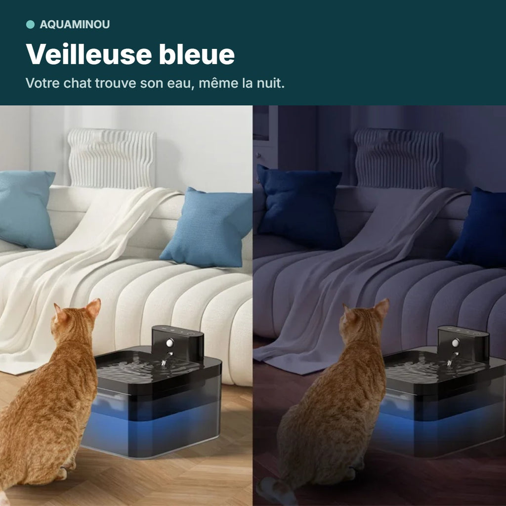 Veilleuse bleue de nuit
