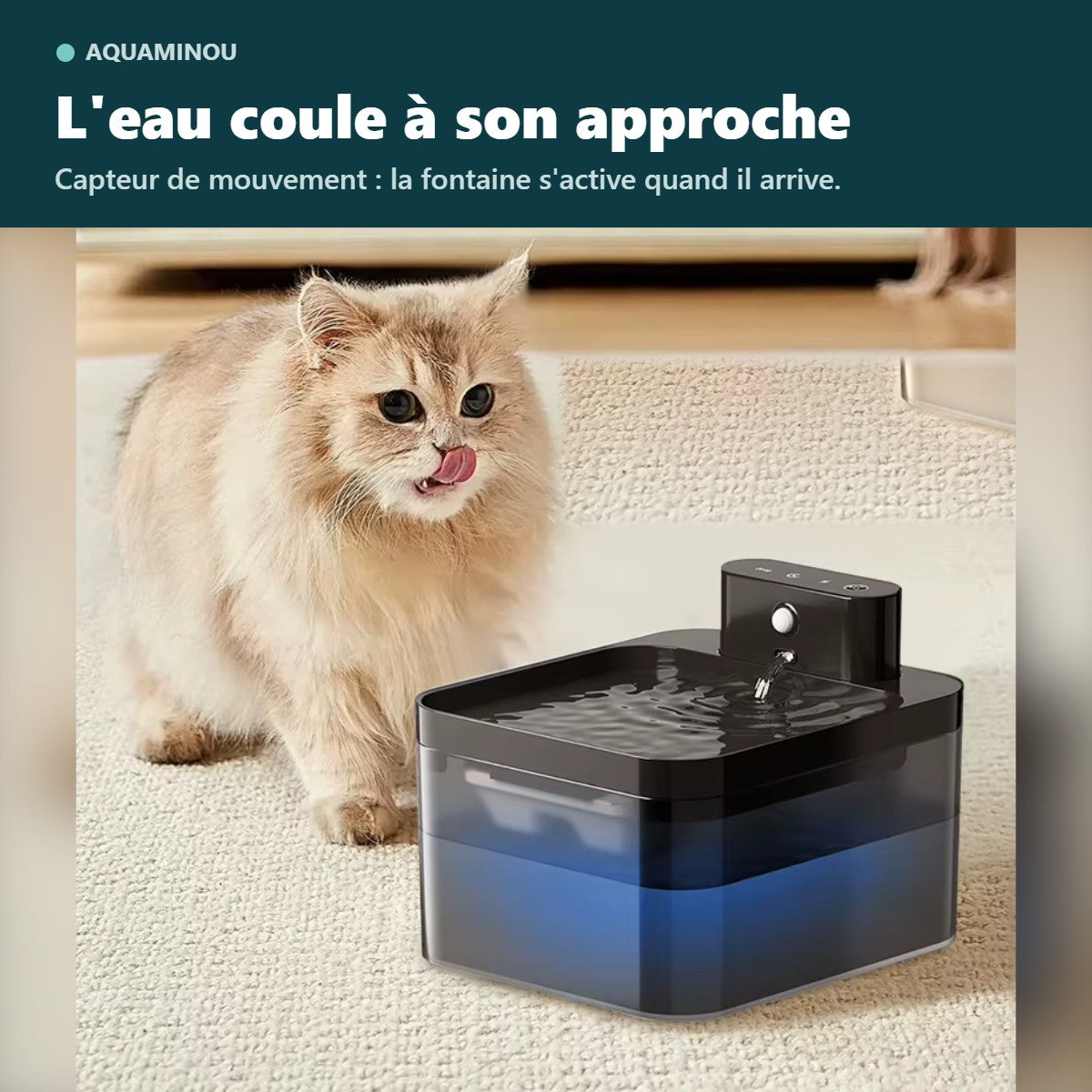 Fontaine sans fil à capteur 2,2 L à côté d'un chat