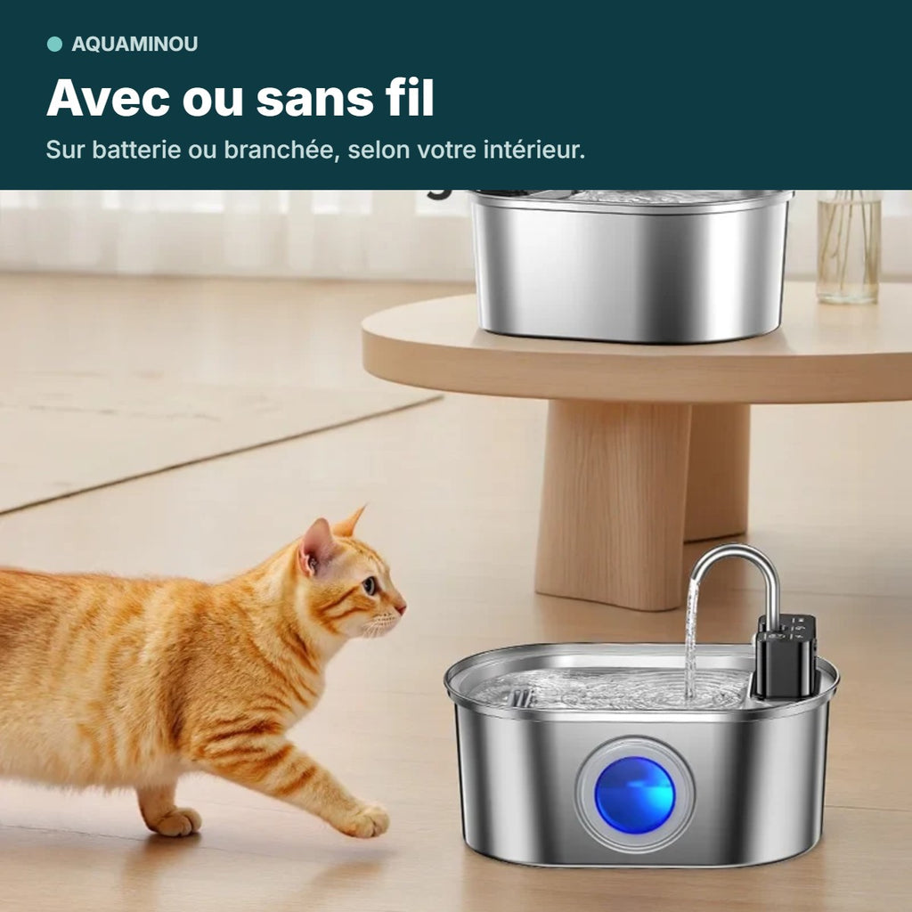 Fontaine avec ou sans fil